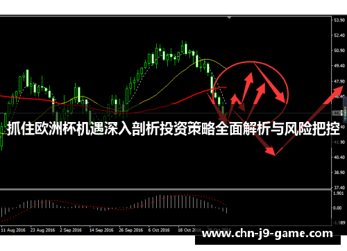 抓住欧洲杯机遇深入剖析投资策略全面解析与风险把控