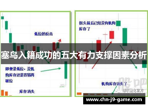 塞鸟入籍成功的五大有力支撑因素分析 塞鸟入籍成功的五大有力支撑因素分析