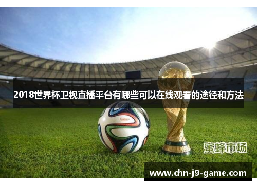 2018世界杯卫视直播平台有哪些可以在线观看的途径和方法 2018世界杯卫视直播平台有哪些可以在线观看的途径和方法