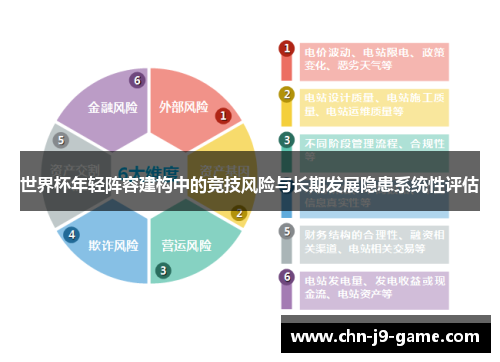 世界杯年轻阵容建构中的竞技风险与长期发展隐患系统性评估