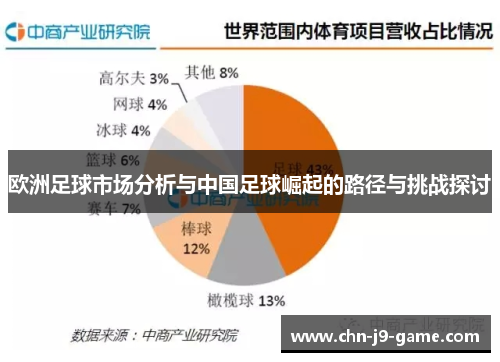欧洲足球市场分析与中国足球崛起的路径与挑战探讨
