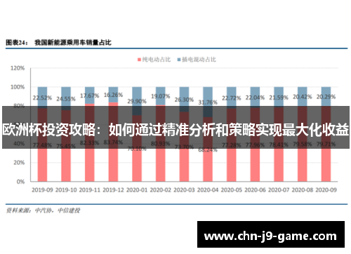 欧洲杯投资攻略：如何通过精准分析和策略实现最大化收益
