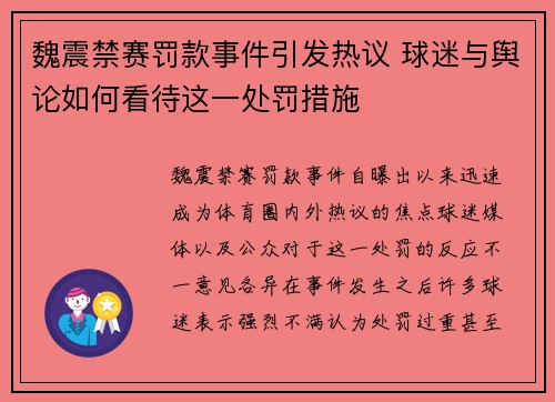 魏震禁赛罚款事件引发热议 球迷与舆论如何看待这一处罚措施